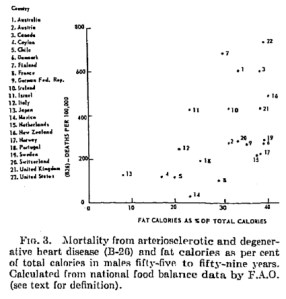 yh_small_graph_22_countries