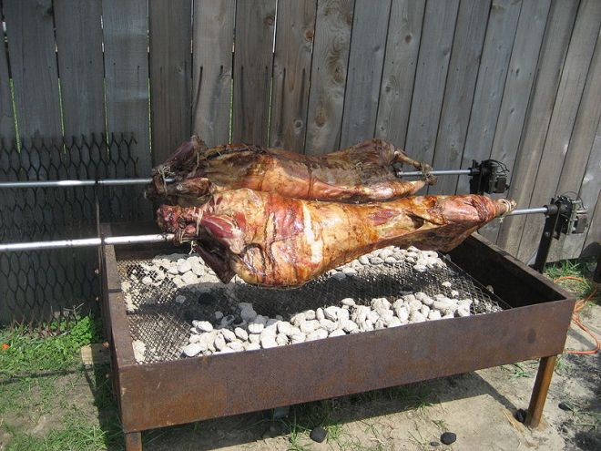 Admit it, you wish you had a thing like that in your backyard